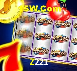 Promoção Relâmpago Z221