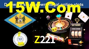 Programa VIP Z221
